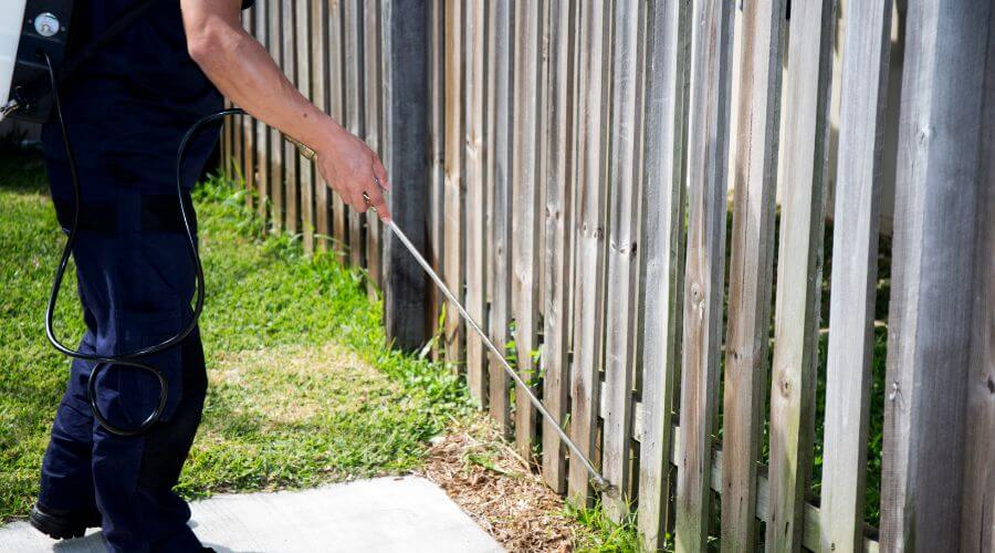 Why choose Bed Bug Inspection Dousman for bed bug inspection in Dousman